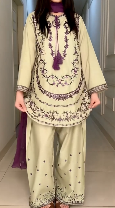 Beautiful Embroidery Work Suit