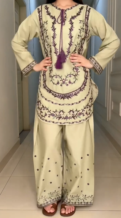 Beautiful Embroidery Work Suit