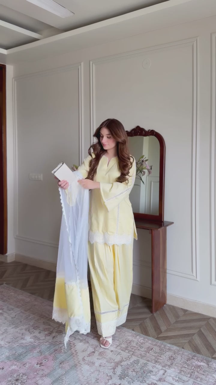 Beautiful Embroidery Work Suit