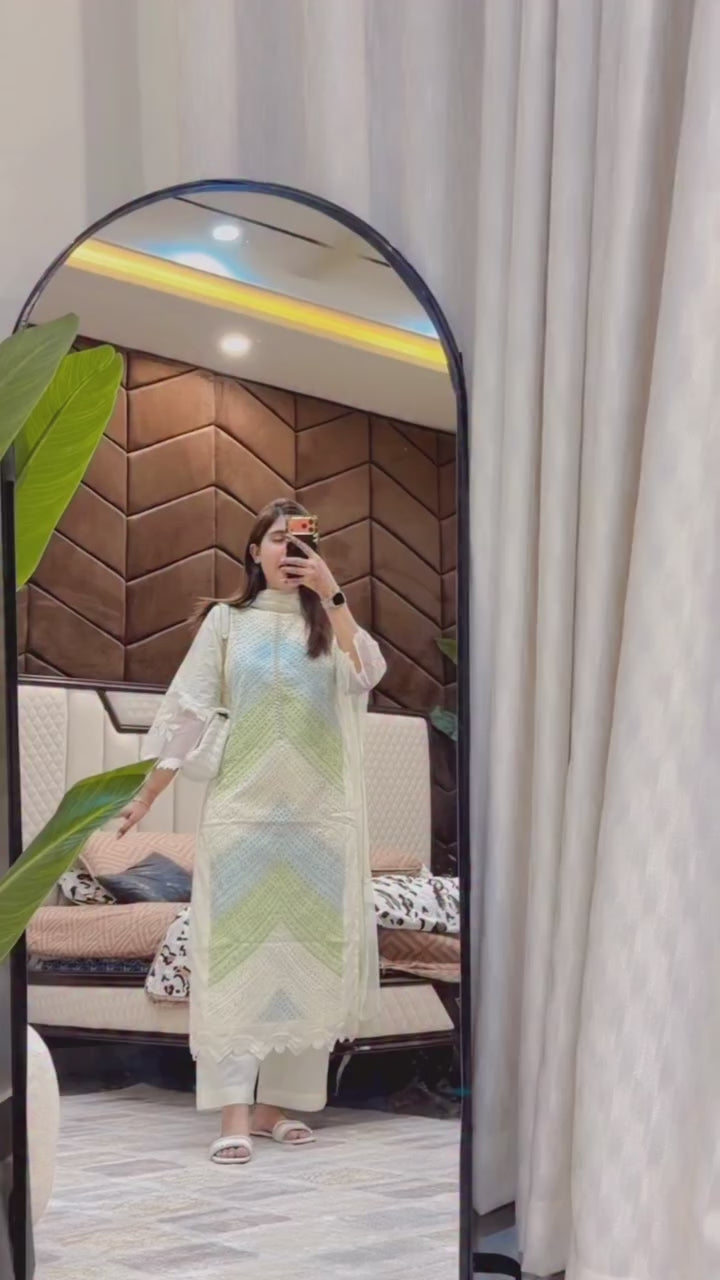 Multi Embroidery Net Dress
