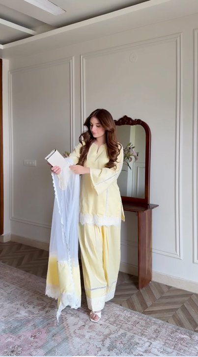 Beautiful Embroidery Work Suit
