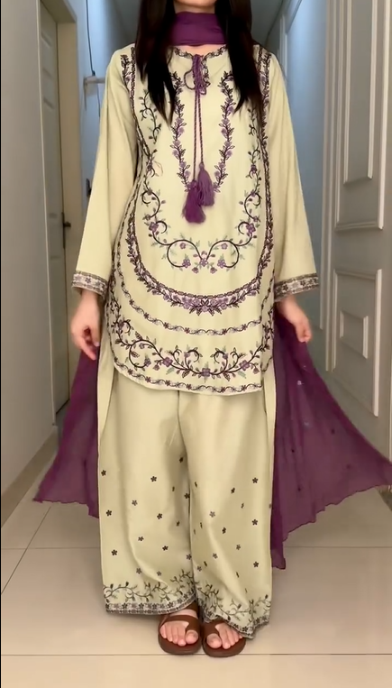 Beautiful Embroidery Work Suit
